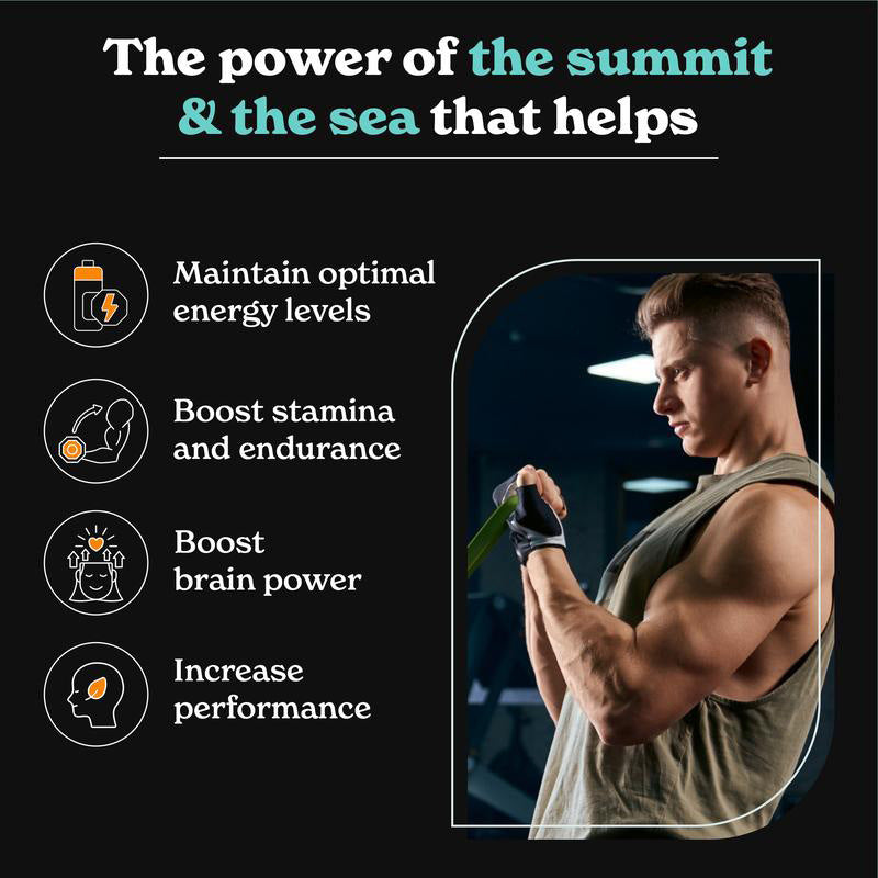 Gold+ Shilajit Capsules